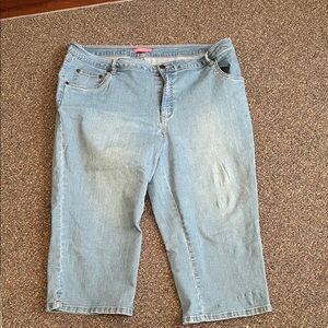 Woman Within Blue Denim Jeans